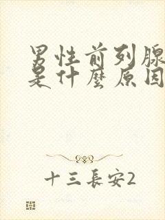 男性前列腺肥大是什么原因导致的