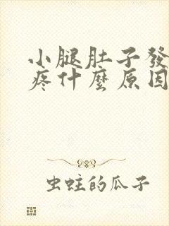 小腿肚子发硬涨疼什么原因