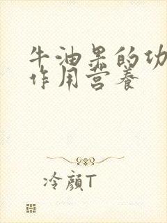 牛油果的功效与作用营养