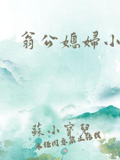 翁公媳妇小说