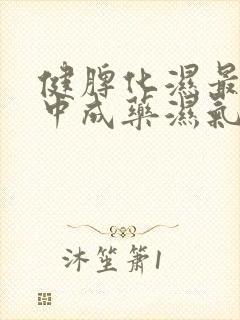 健脾化湿最好的中成药湿气重吃什么药