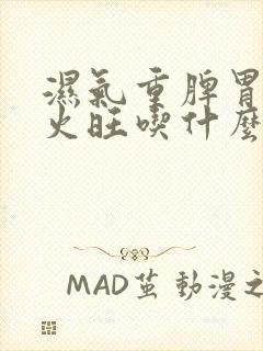 湿气重脾胃虚肝火旺吃什么中成药治疗