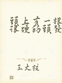 头上有一根很粗很硬的头发