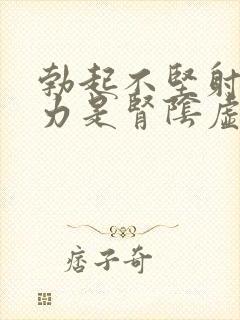 勃起不坚射精无力是肾阴虚还是阳虚