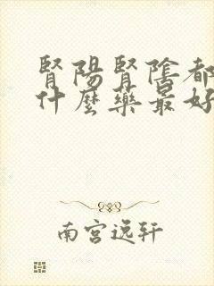 肾阳肾阴都虚吃什么药最好