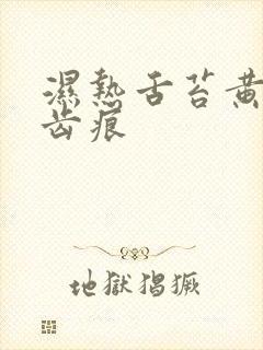 湿热舌苔黄腻有齿痕