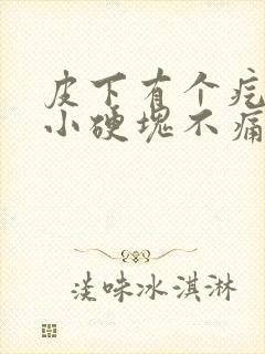 皮下有个疙瘩是小硬块不痛不痒