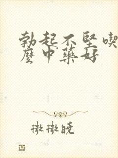 勃起不坚吃些什么中药好