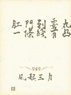 肛门到睾丸中间一条线有凸起