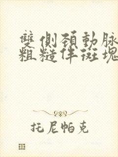 双侧颈动脉内膜粗糙伴斑块形成