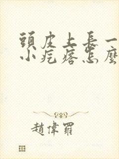 头皮上长一小片小疙瘩怎么回事