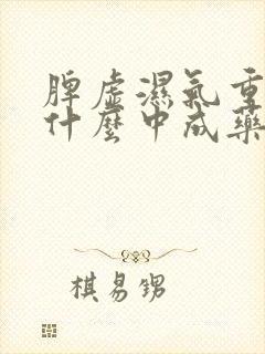 脾虚湿气重吃点什么中成药