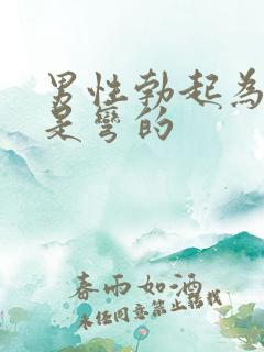 男性勃起为什么是弯的