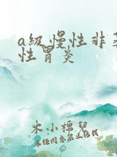 a级慢性非萎缩性胃炎