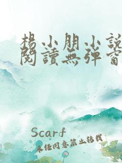 杨小朋小说免费阅读无弹窗