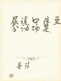 尿道口痒豆腐渣分泌物是