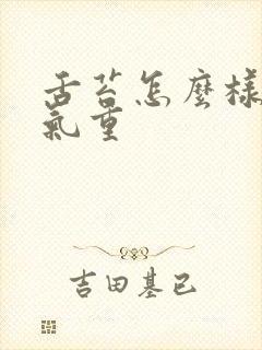 舌苔怎么样是湿气重