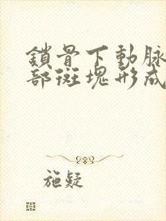 锁骨下动脉起始部斑块形成