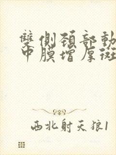 双侧颈部动脉内中膜增厚斑块形成