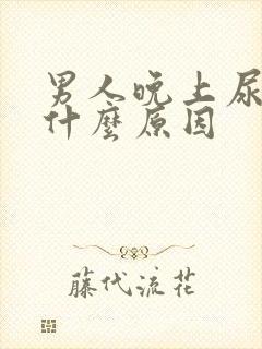 男人晚上尿频是什么原因