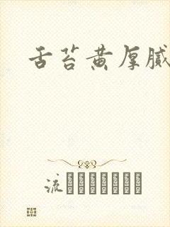 舌苔黄厚腻口臭