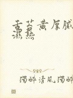 舌苔黄厚腻脾胃湿热