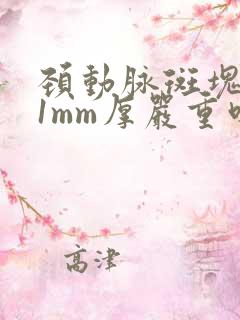 颈动脉斑块2.1mm厚严重吗