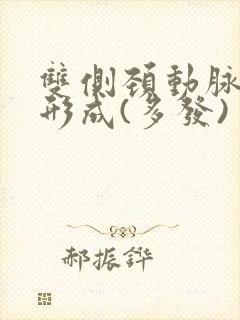 双侧颈动脉斑块形成(多发)