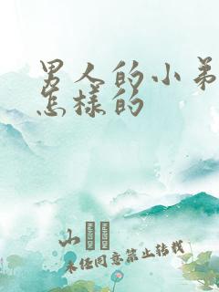 男人的小弟弟是怎样的