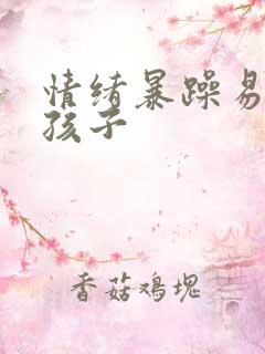 情绪暴躁易怒的孩子