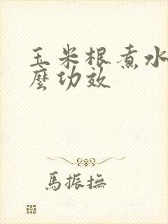 玉米根煮水有什么功效