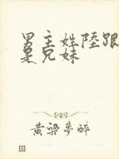 男主姓陆跟女主是兄妹