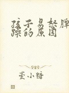 孩子易怒脾气暴躁的原因