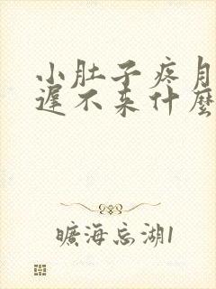 小肚子疼月经推迟不来什么原因