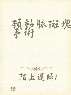 颈动脉斑块剥脱手术