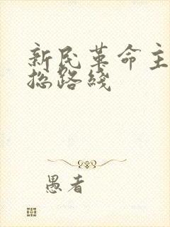 新民革命主义的总路线