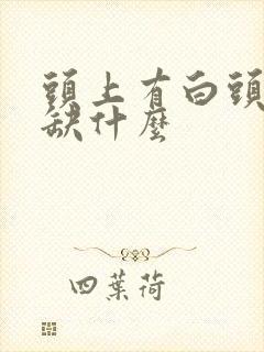 头上有白头发是缺什么