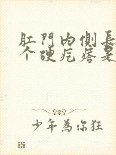 肛门内侧长了一个硬疙瘩是怎么回事