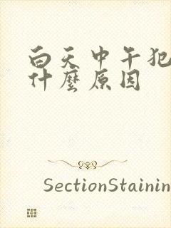 白天中午犯困是什么原因