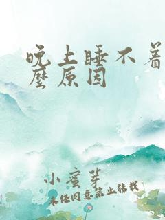 晚上睡不着是什么原因