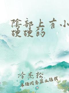 阴部上有小疙瘩硬硬的