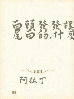 白头发发根黑发尾白的,什么原因