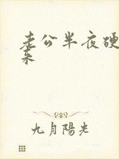 老公半夜硬不起来