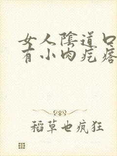 女人阴道口里面有小肉疙瘩