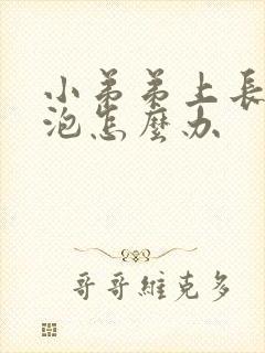 小弟弟上长小水泡怎么办