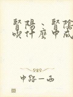 肾阳丶肾阴两虚吃什么中成药