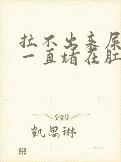 拉不出来屎感觉一直堵在肛门怎么办