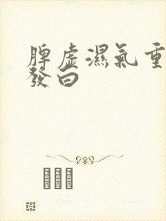 脾虚湿气重舌苔发白