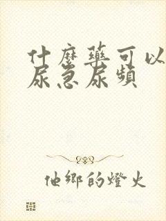 什么药可以治疗尿急尿频