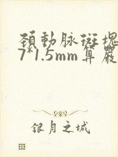 颈动脉斑块4.7*1.5mm算严重